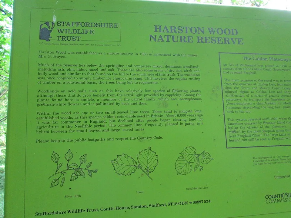 Context photograph: Harston Wood information board; timber context, not an identified product or supplier on this page.