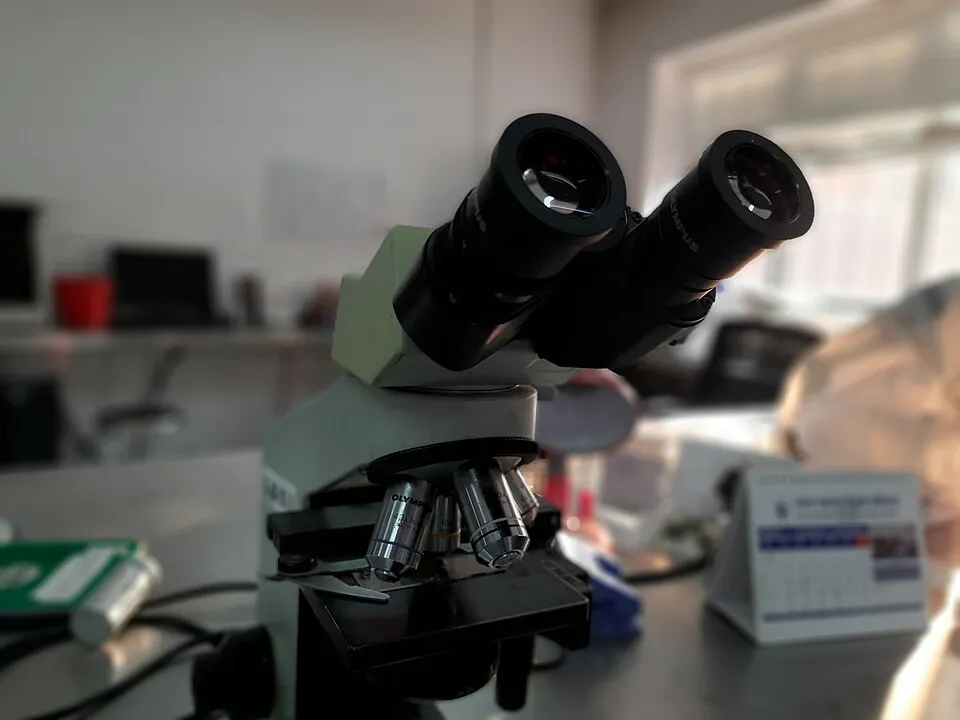 Context photograph: Compound Microscope Image; science context, not an identified product or supplier on this page.