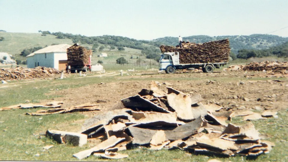 Context photograph: Loading cork oak bark in Reserva Nacional de Cortes de la Frontera 1987; operations context, not an identified product or supplier on this page.
