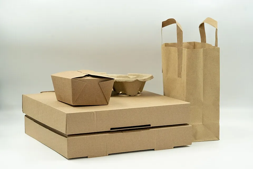 Context photograph: Eco-friendly cardboard packaging for takeaways; paper context, not an identified product or supplier on this page.