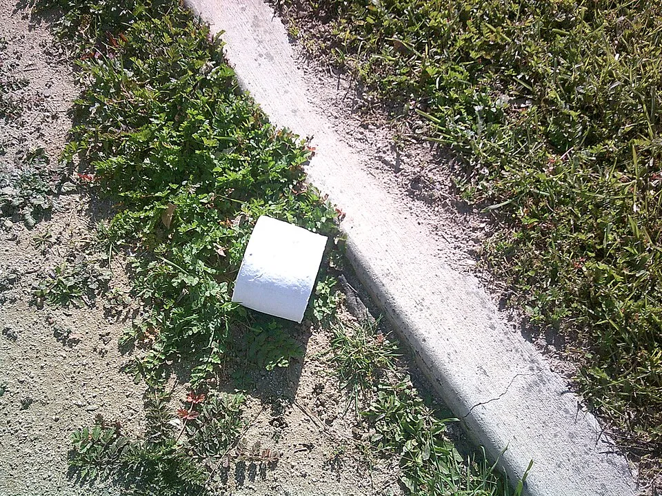 Context photograph: Toilet paper on ground at Glen Helen Regional Park; paper context, not an identified product or supplier on this page.
