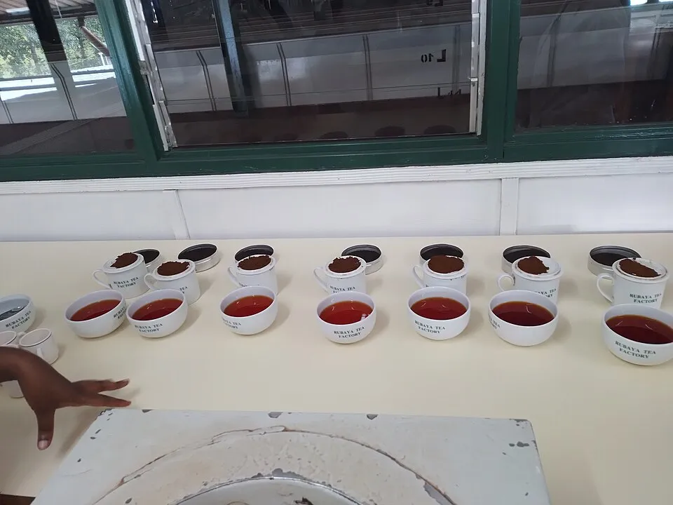Context photograph: Testing the tea; science context, not an identified product or supplier on this page.