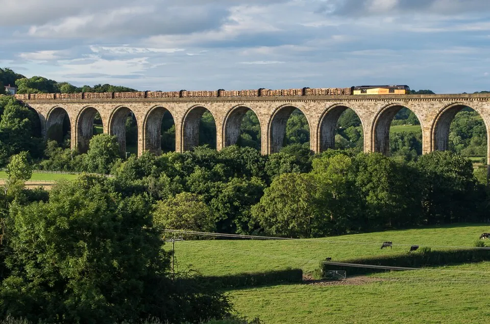 Context photograph: Timber train on Cefn Viaduct - geograph.org.uk - 5049440; timber context, not an identified product or supplier on this page.