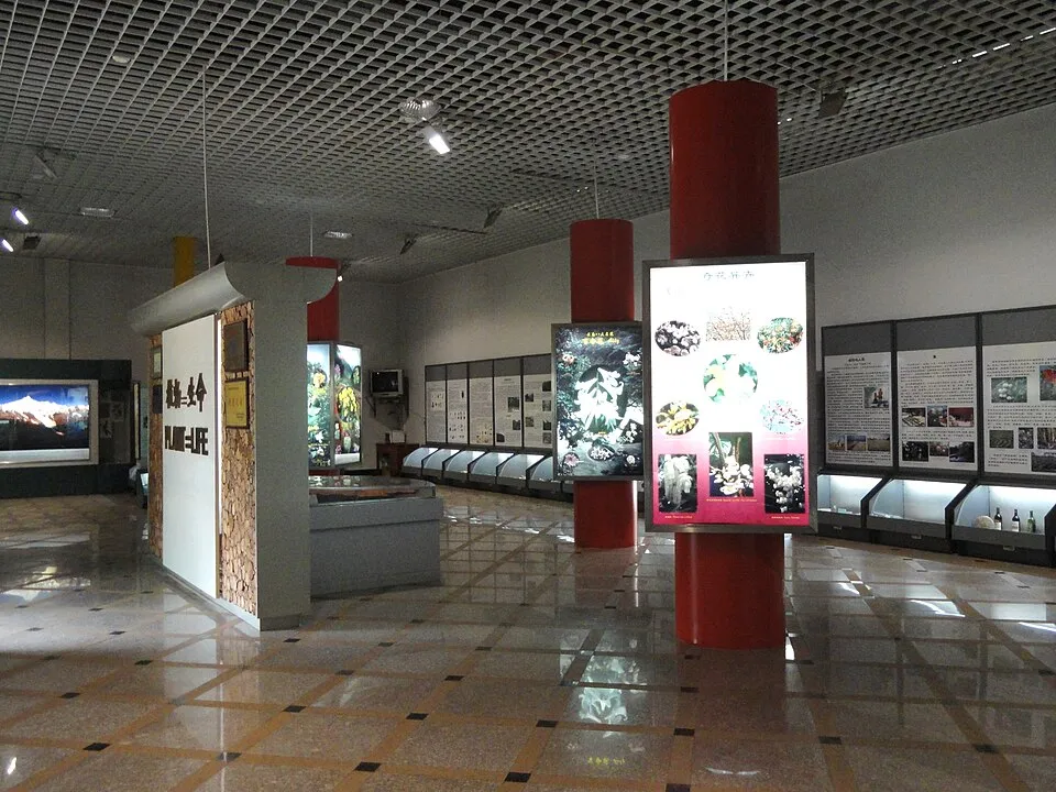 Context photograph: Interior - Exhibition Hall, Kunming Botanical Garden - DSC03239; events context, not an identified product or supplier on this page.