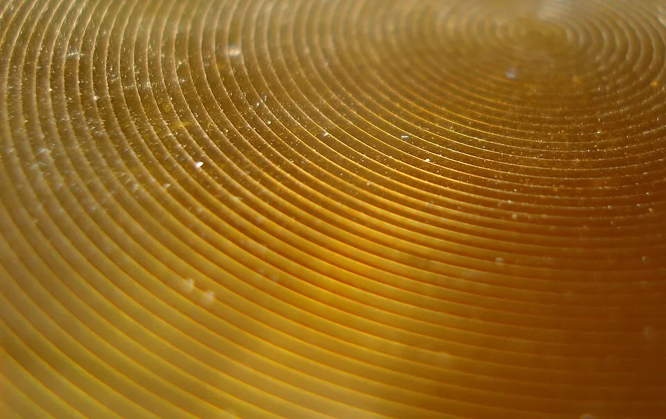 Context photograph: Flat flexible plastic sheet lens; polymer context, not an identified product or supplier on this page.