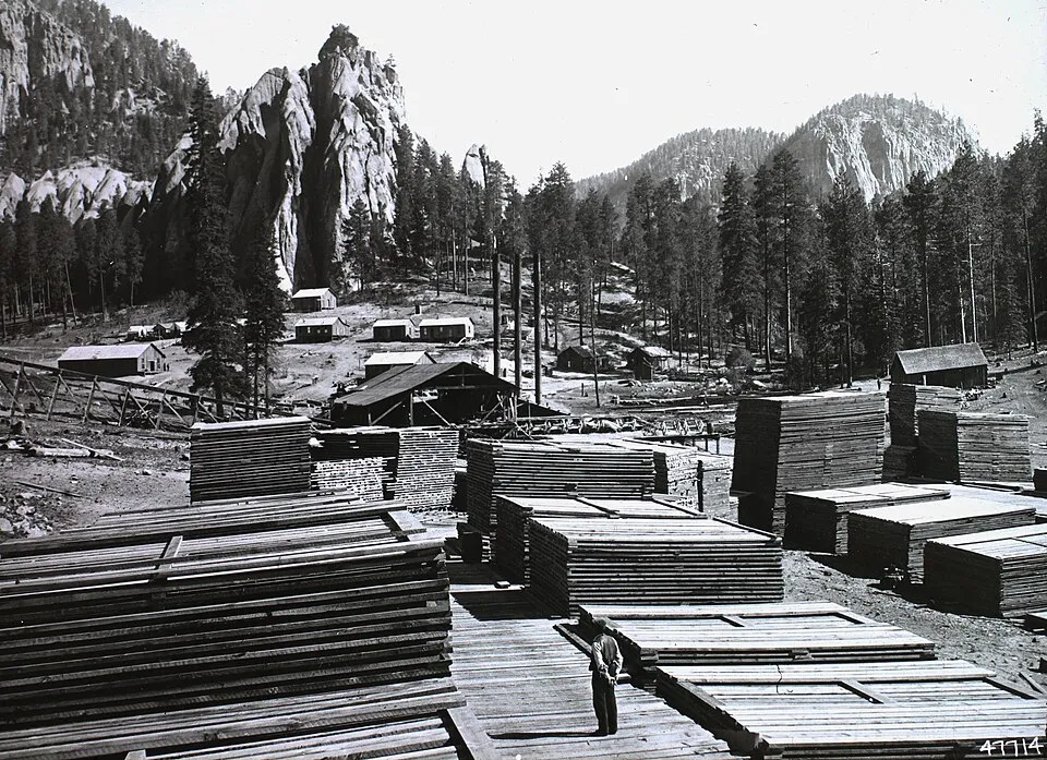 Context photograph: Pile of boards, wood extraction Fortepan 95129; timber context, not an identified product or supplier on this page.