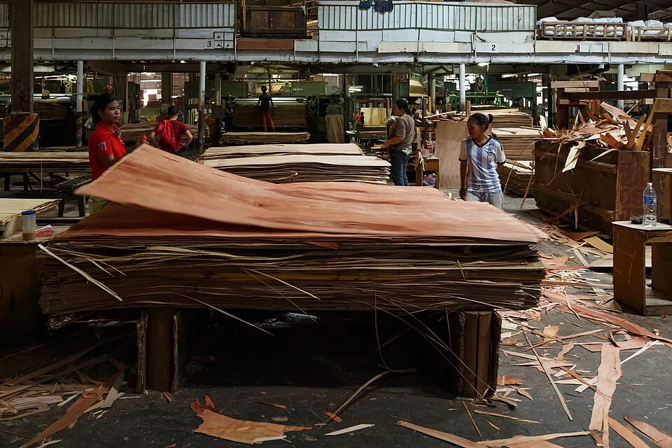 Context photograph: Sandakan Sabah Plywood-Factory-32b; timber context, not an identified product or supplier on this page.