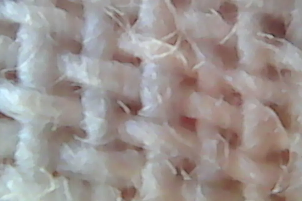 Context photograph: Cotton fabric; textile context, not an identified product or supplier on this page.