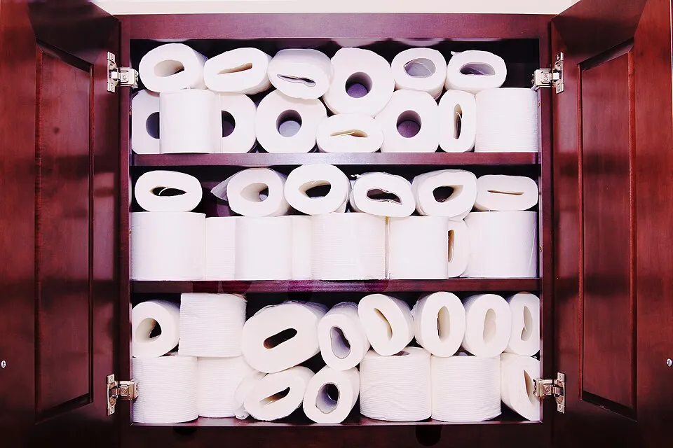 Context photograph: Toilet paper mania; paper context, not an identified product or supplier on this page.